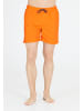 Cruz Shorts Eyemouth in 5081 Oriole