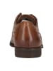 Clarks Businessschuhe Paulton Lace in 5241 Tan Leather