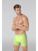 Muchachomalo 3er-Set: Boxershort in Mehrfarbig - für Herren