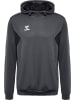 Hummel Kapuzenpullover Hmlauthentic Herren in ASPHALT