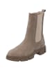 Palado Chelsea Boots Focne in Beige