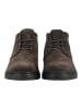 Geox Stiefelette SPHERICA EC1 B ABX D in Dunkelbraun
