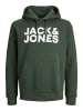 Jack & Jones Sweat Hoodie Kapuzen Pullover Sweatshirt JJECORP in Grün