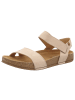 El Naturalista in beige