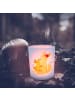 Mr. & Mrs. Panda Glas Windlicht Fuchs Mama ohne Spruch in Transparent