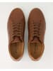 Josef Seibel Sneaker low in Braun