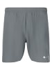 Virtus Shorts Spier in 2050 Stormy Weather