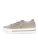Gabor Sneaker low in beige