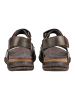 Pikolinos Sandalen Dunkelbraun