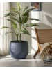 Beliani Outdoor Blumentopf BAIYUN in Grau - (W) 47 x (H) 43 x (L) 47 cm