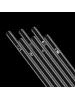 HÅLM 6er Set Trinkhalm: "Katzenpfoten" Glas-Strohhalme in Transparent - 20 cm
