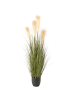 Beliani Kunstpflanze PAMPAS GRASS in Grün/Beige/Schwarz - (W) 60 x (H) 120 x (L) 60 cm