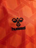 Hummel Hummel T-Shirt Wer 23/24 Fußball Kinder Schnelltrocknend in ORANGE TIGER