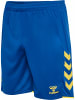 Hummel Sportshorts "Core 2.0 Shorts" in Blau