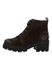 Josef Seibel Stiefelette Josephine 08 in braun
