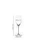 RIEDEL Glas 2er Set Champagnergläser inklusive Poliertuch Performance 375 ml in transparent