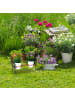 relaxdays Mini Blumenbank in Braun/Grau Grün