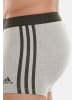 Adidas Sportswear Retro Short / Pant Active Flex Cotton 3 Stripes in Grau