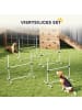 Pawhut Hunde Agility Set Weiß Kunststoff