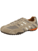 Geox Sneaker low U Snake K in beige