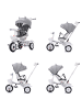 Chipolino Futuro 2 in 1 in grau