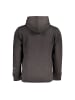 U.S. Polo Grau Herren Sweatshirt aus Baumwolle
