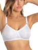 Sassa 3er Pack Soft-BH in weiss