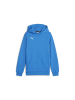 Puma Sweatshirt teamGOAL Casuals Hoody Jr in blau