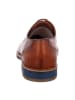 LLOYD Business Schnürschuhe in Braun
