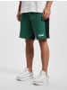 Puma Puma Herren Puma Pl Shorts in vine