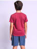 Cerda 2tlg. Outfit T-Shirt & Shorts Harry Potter  in Bordeaux-Dunkelgrau