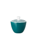 Seltmann Weiden Zuckerdose Life Fashion in 260 ml in Trendy Petrol