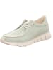 Sioux Sneaker Low in grün