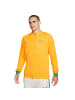 Nike Performance Trainingsjacke Australien Academy Pro Anthem in gelb / grün