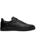 asics Sneaker Low in Schwarz