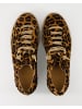 Paul Green Sneaker low in Braun