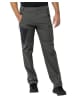 Jack Wolfskin Outdoorhose GLASTAL PANTS M in Grün