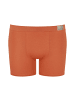 Sloggi Boxershort 4er Pack in Braun Mix