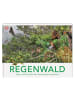 Dorling Kindersley  Buch - Regenwald