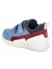 Ecco Low Sneaker BIOM K1 in Blau