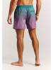 Protest " PRTNorthaw in Dark teal