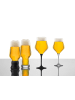 Eisch 2er Set Kelche / Biertulpen Craft Beer Experts 435 ml in transparent