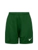 Nike Performance Trainingsshorts Dry League Knit II in grün / weiß