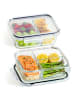 Praknu Meal Prep Boxen Glas 3 Fächer - Glasdosen 2er Set mit Deckel 1000ml -