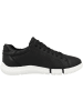 Geox Sneaker low U Adacter A in schwarz