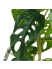 Beliani Kunstpflanze MONSTERA ADANSONII in Grün/Schwarz - (W) 27 x (H) 53 x (L) 27 cm