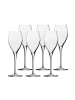 Stölzle 6er Set Champagnergläser Original 145 ml in transparent
