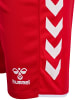 Hummel Sportshorts "Core 2.0 Shorts" in Rot