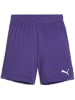 Puma Sporthose "TeamGoal Shorts Jr" in Lila