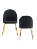KADIMA DESIGN Design Esszimmerstuhl 2er Set Samt Gepolstert, Küchenstuhl in Schwarz